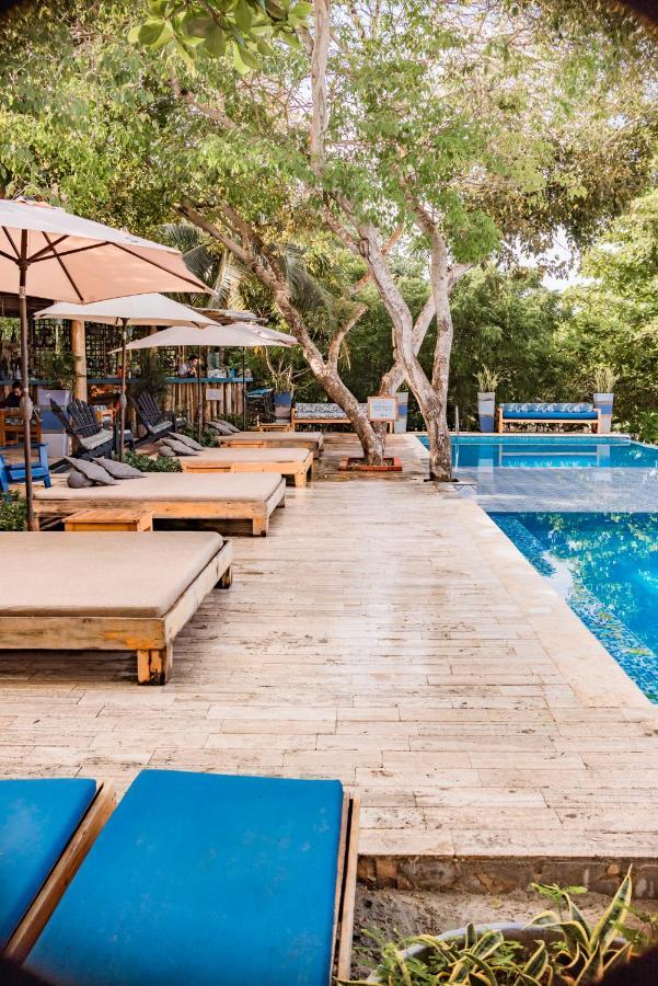 Blue Apple Beach Corregimiento Bocachica Εξωτερικό φωτογραφία